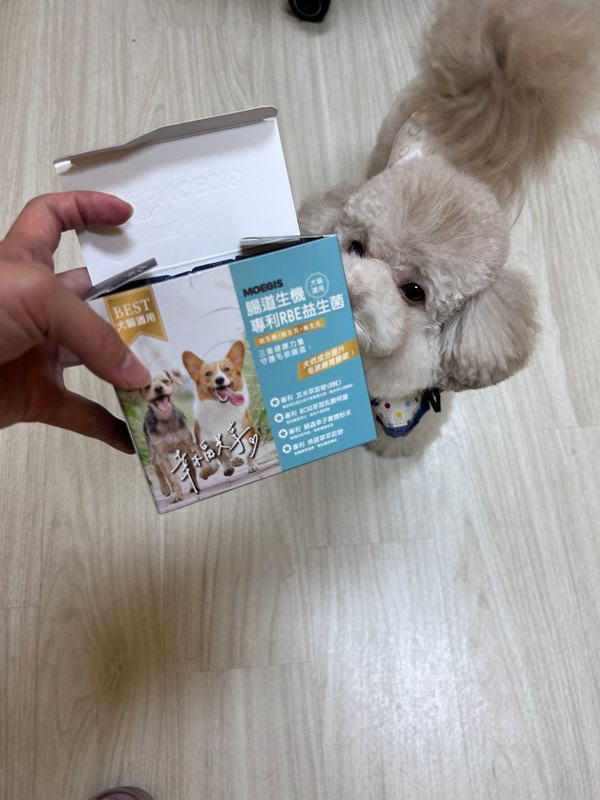 女人知己試用大隊,口碑行銷,部落客行銷,Moegis萌吉 腸道生機專利RBE益生菌,寵物益生菌,專利RBE益生元,專利蔬果酵素,小分子胜肽,藍藻粉,維持免疫力,幫助維持消化道機能,維持正常食慾,改變細菌叢生態,腸胃保健,犬貓適用